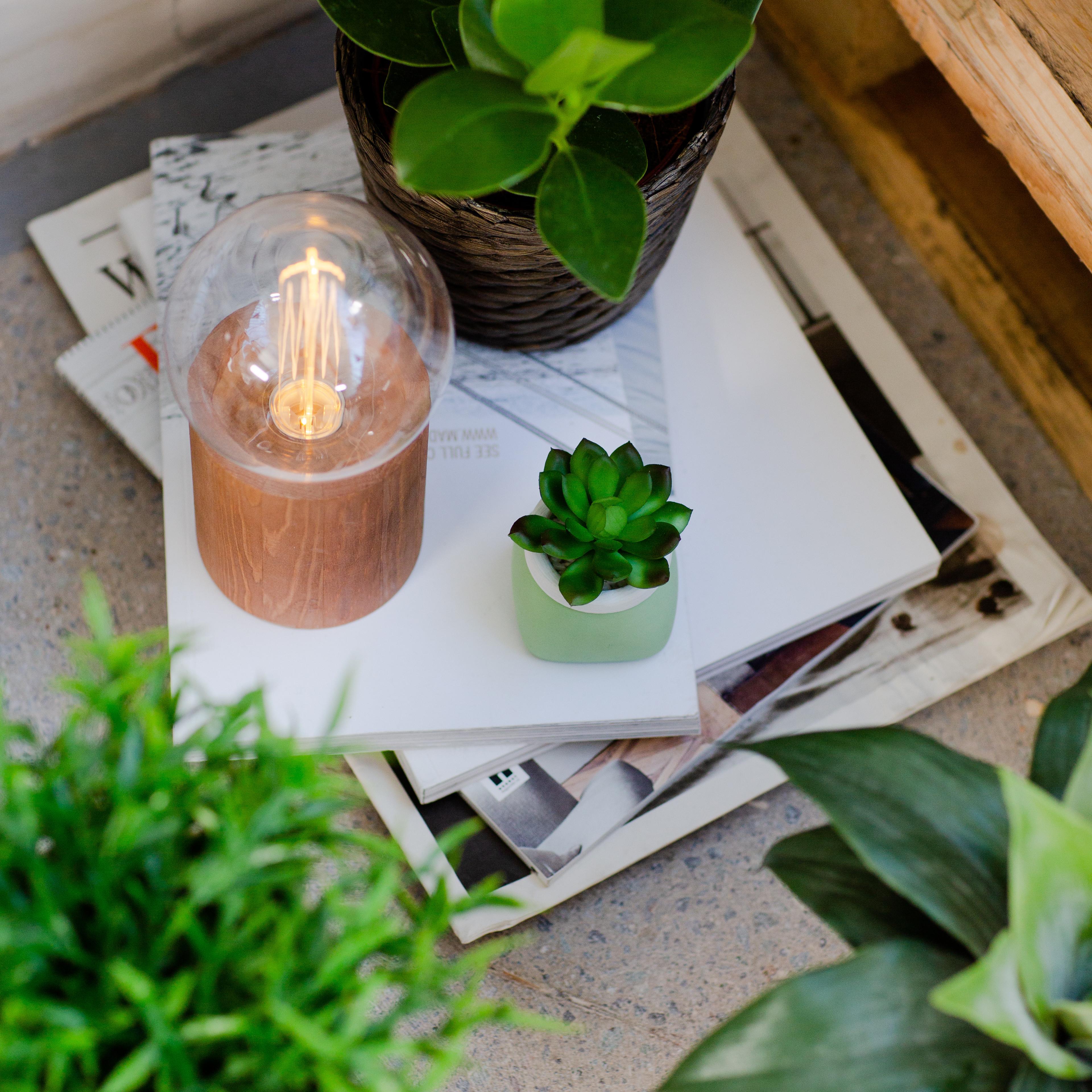 Ruheoase in den eigenen vier Wänden Bild