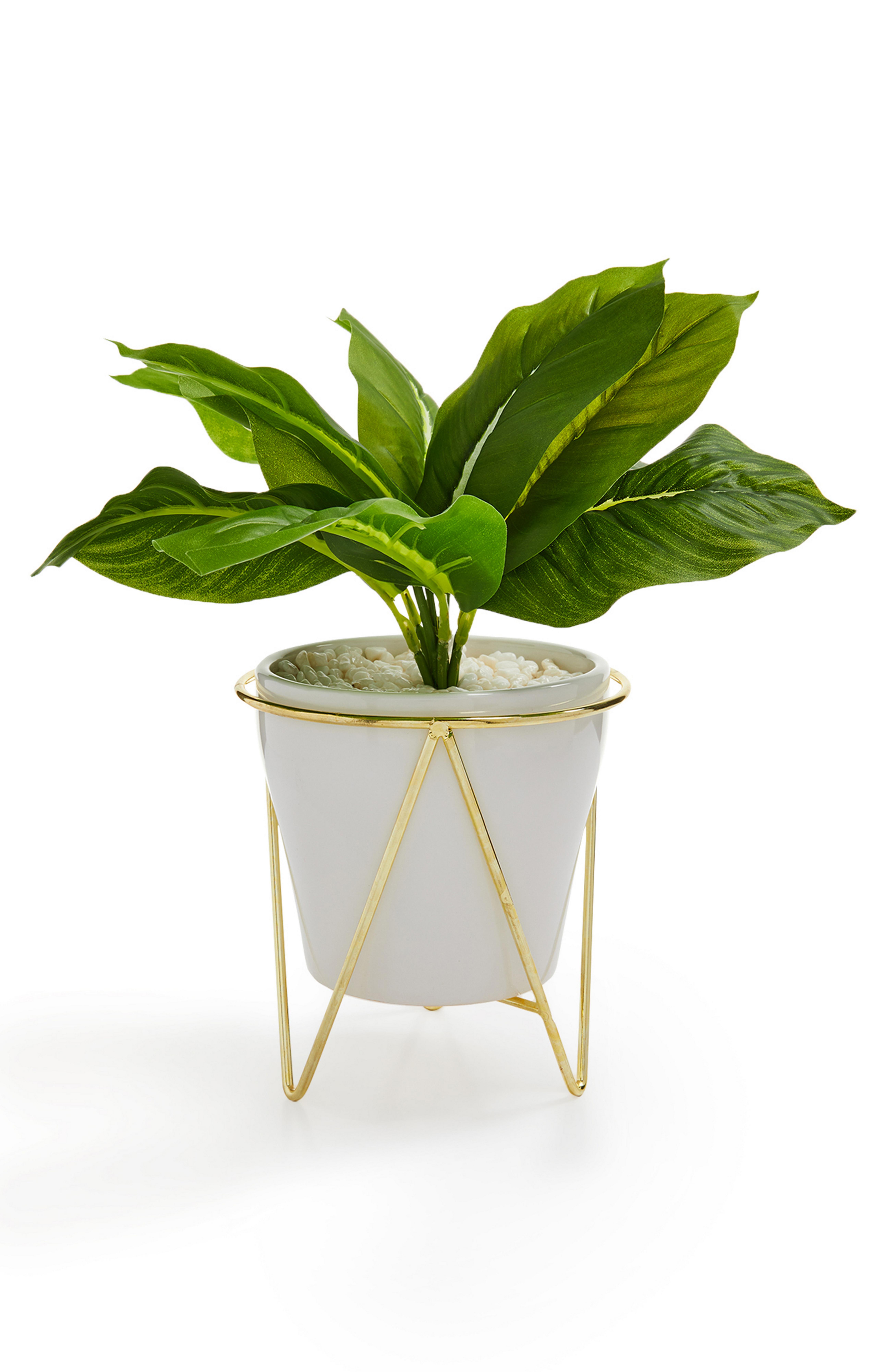 133714129 01?w=1000&h=1000&img404=missing product&v=1613899809579&locale=es *,en *,* Moncloa