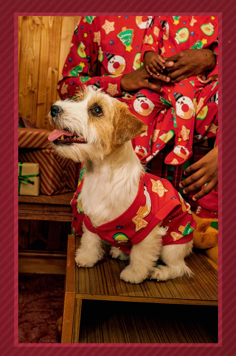 Family christmas pyjamas discount dog