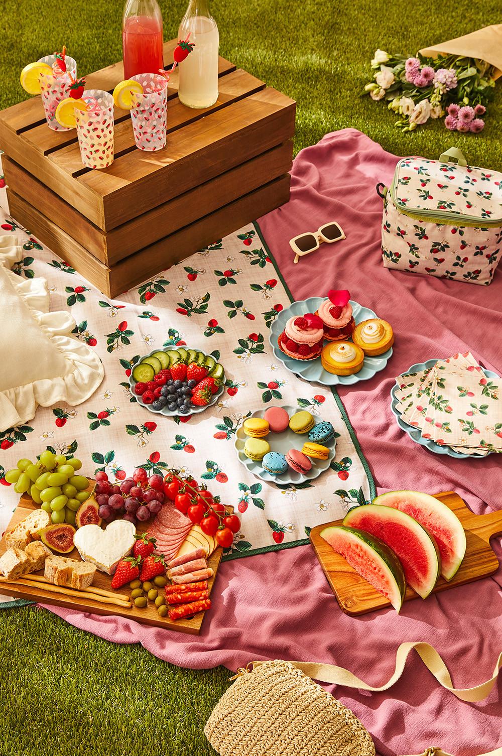 Garden picnic set up, with blankets, cool bags, plates and cups