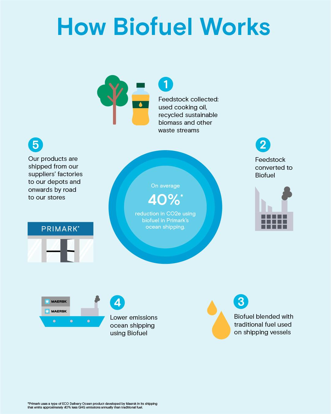 How Biofuel Works infographic
