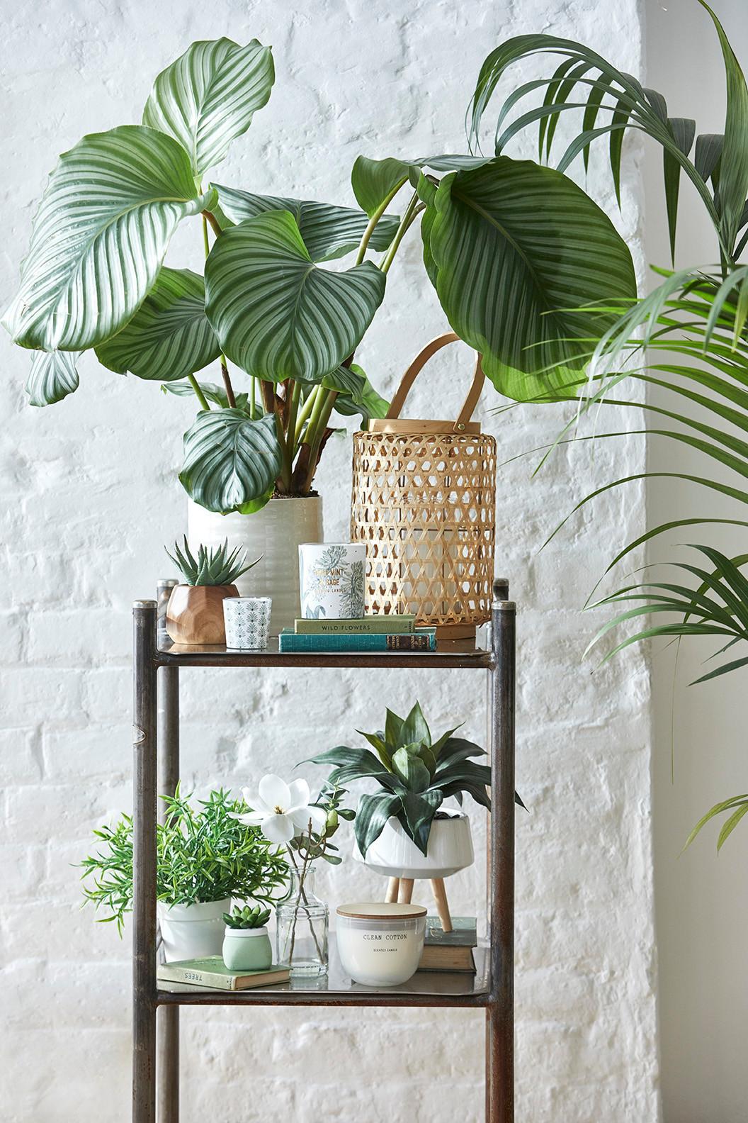 Botanica Bedroom Primark