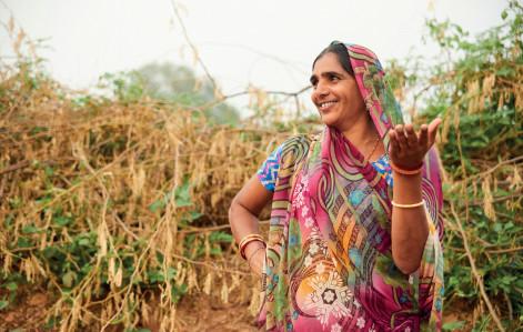 Female farmer in the cotton field