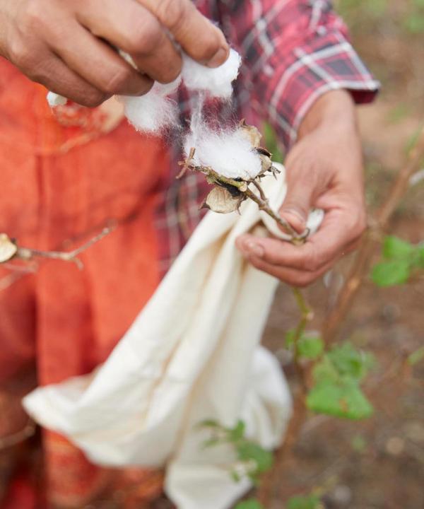 Sustainable Cotton Programme Primark Cares (Ireland)