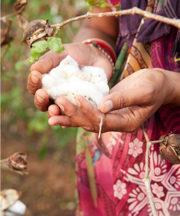 Lerne einen Primark Sustainable Cotton Farmer kennen – Primark Cares