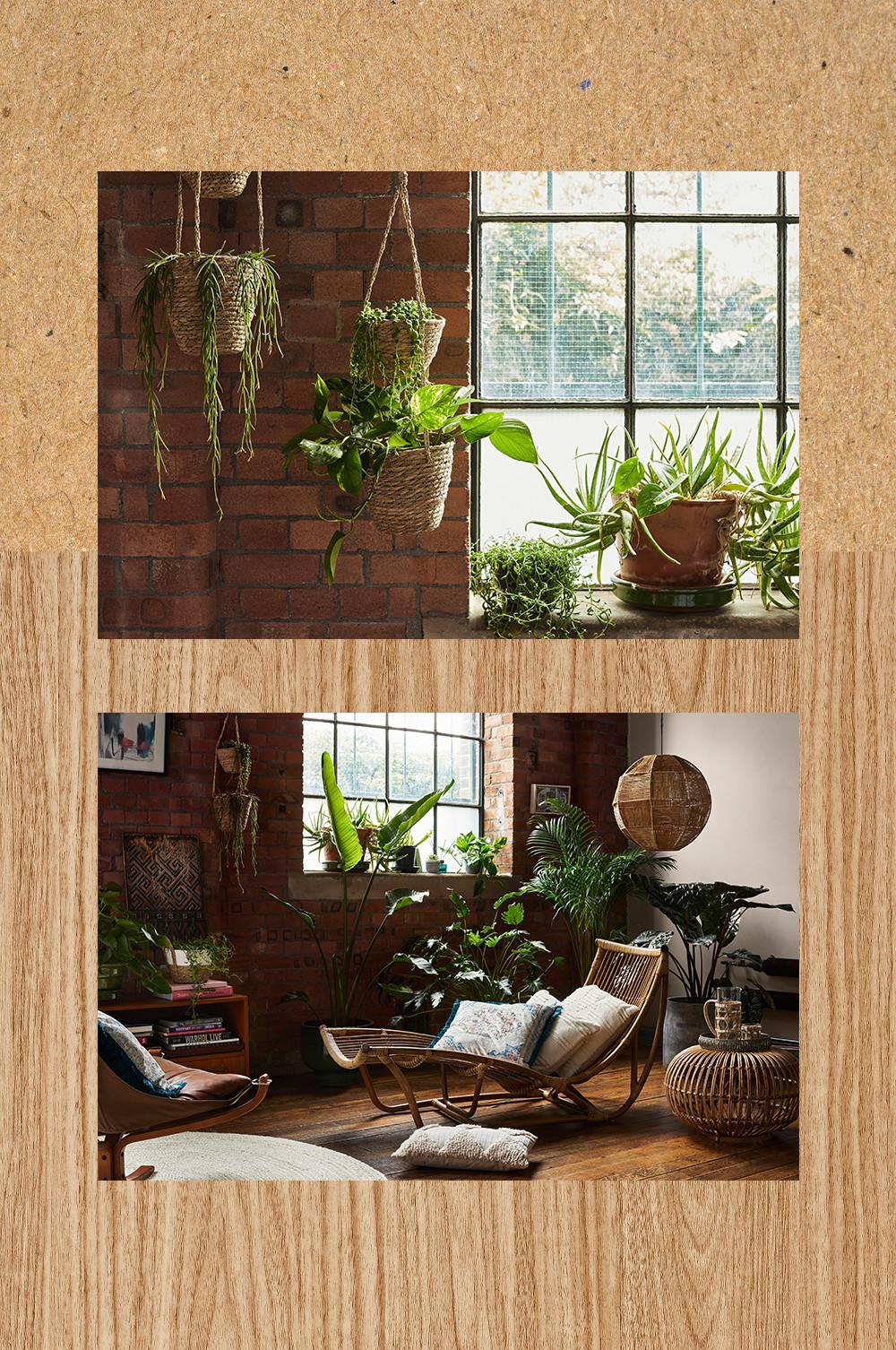 Interiors image with planters