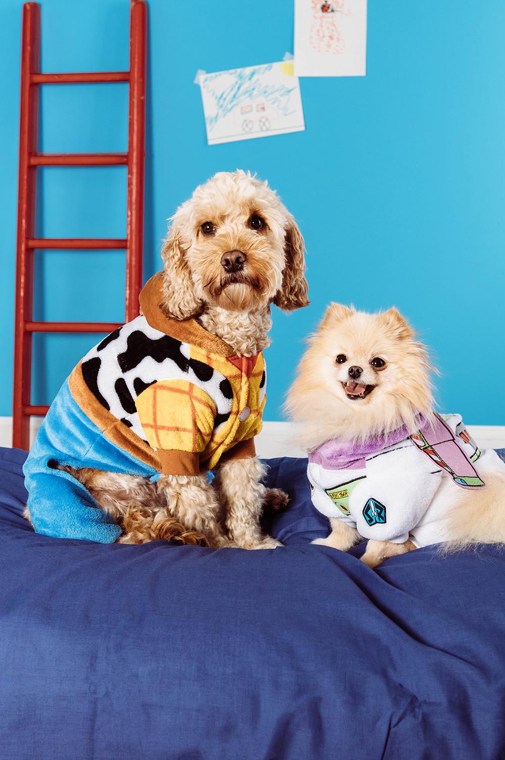 Disney dog 2024 outfits uk