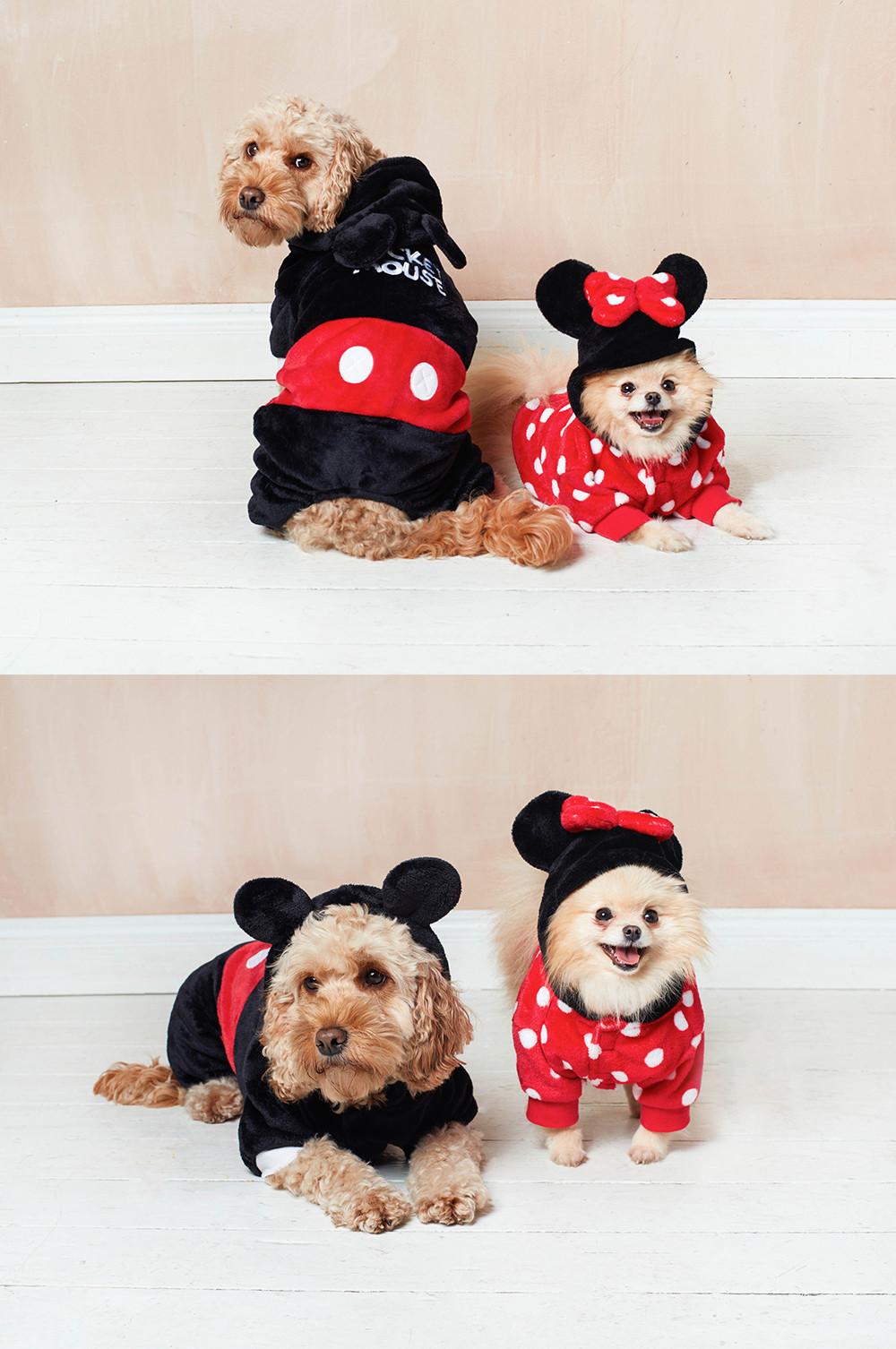 Disney for Pets Minnie Mouse Halloween Costume for Dogs - Small, Disney  Halloween Dog Costumes, Funny Pet Costumes