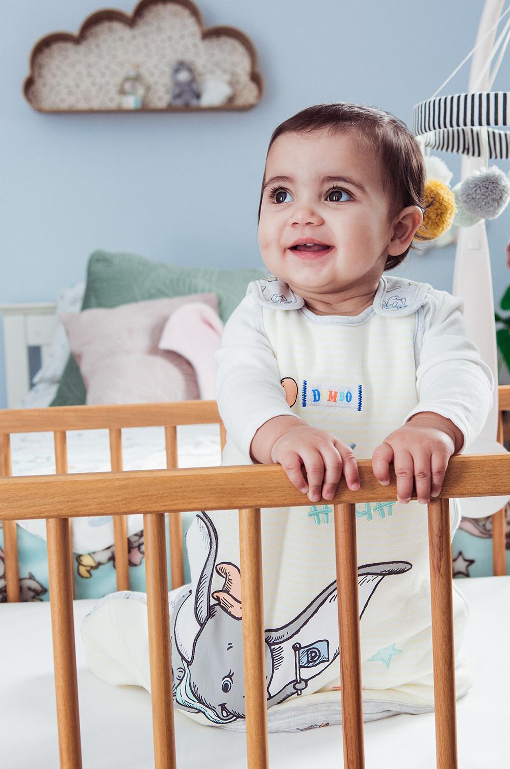 ss19 dumbo mother and baby