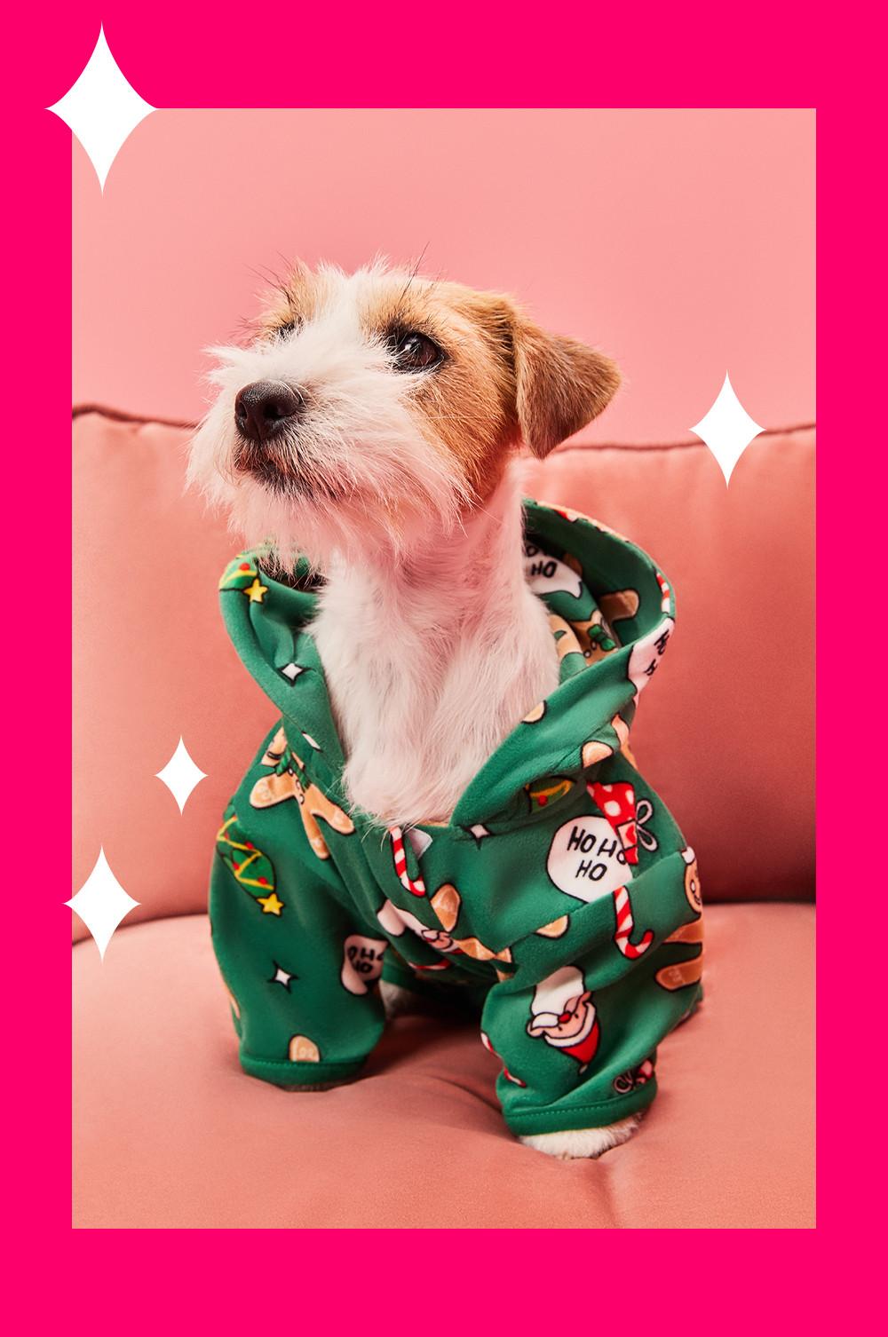 Chien portant un pyjama de Noël vert