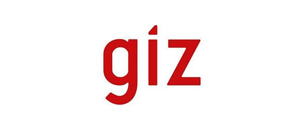 German Development Cooperation (GIZ)