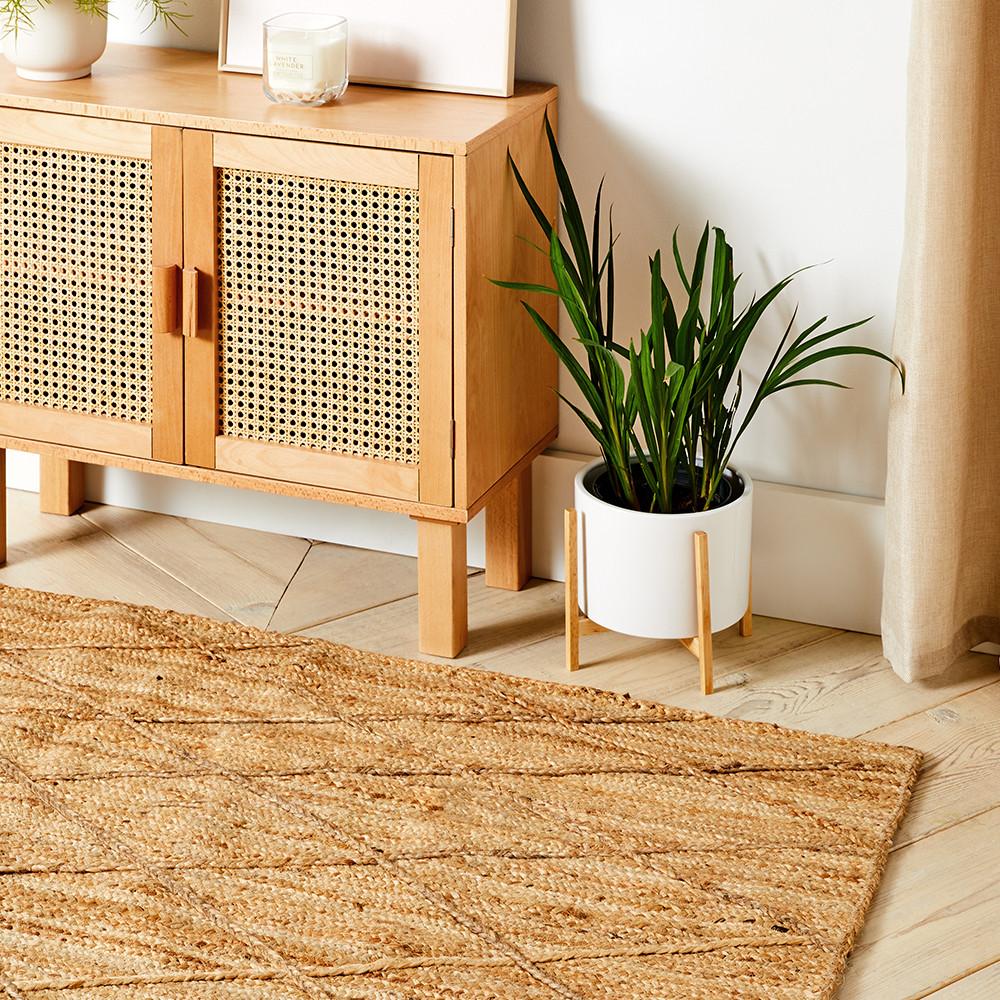 Jute rug and plant