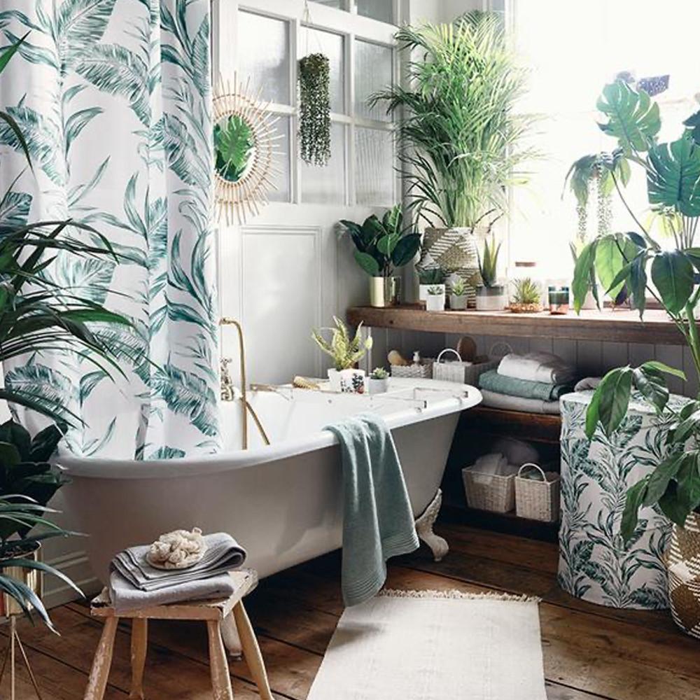 Colección Serene Green