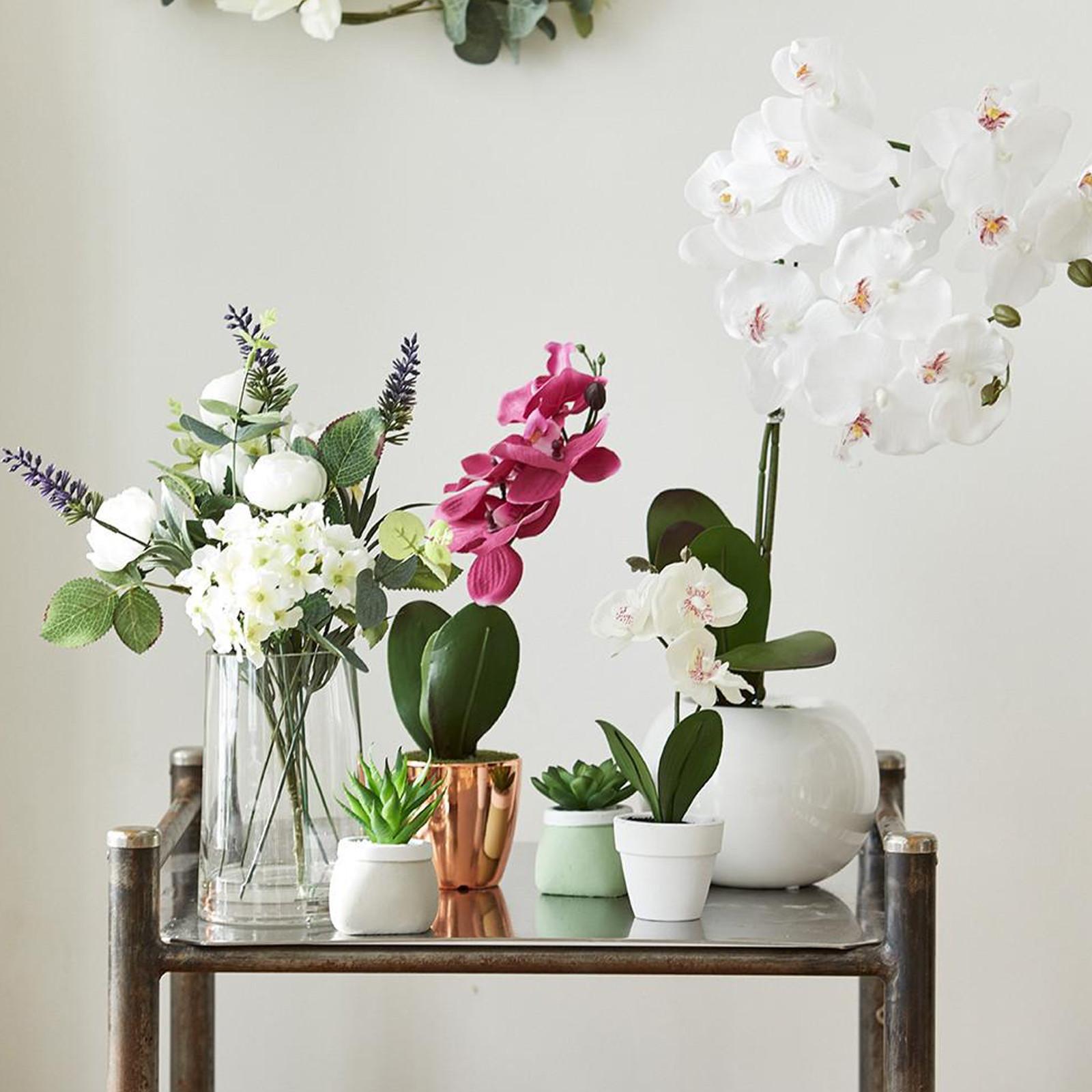 Tips for Nature-Inspired Home Decor | Primark