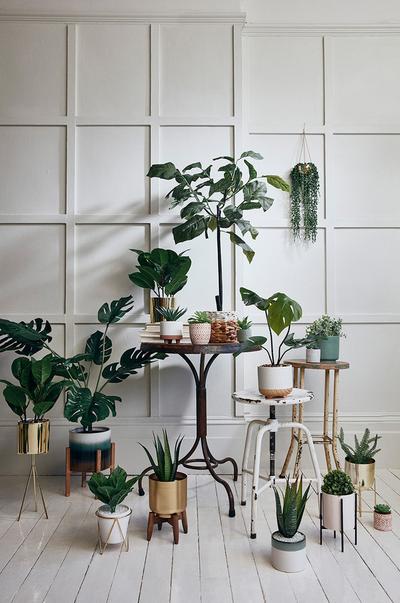 Moda hogar: tendencia botánica con plantas artificiales | Primark España