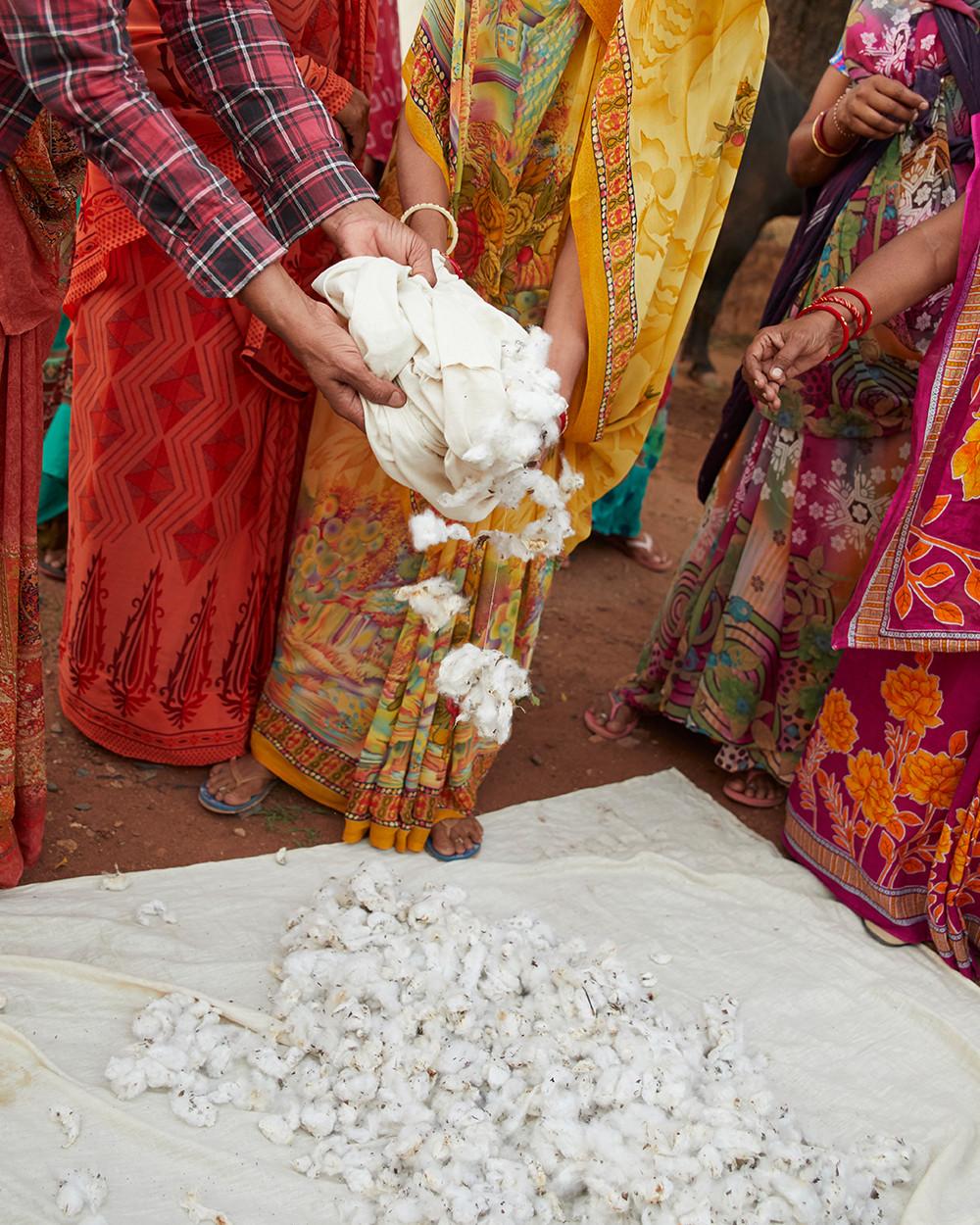 Sustainable cotton image 2