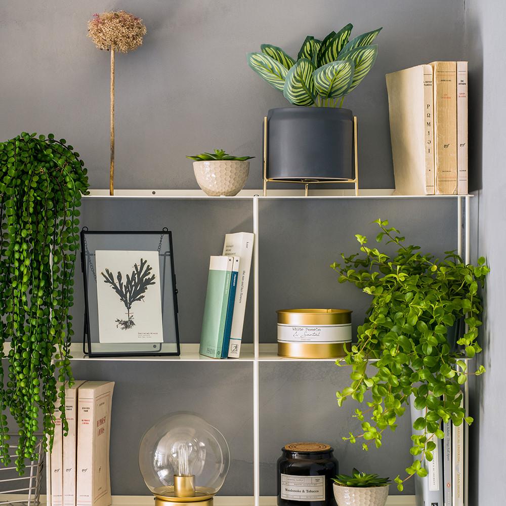 Decora tu cuarto Primark