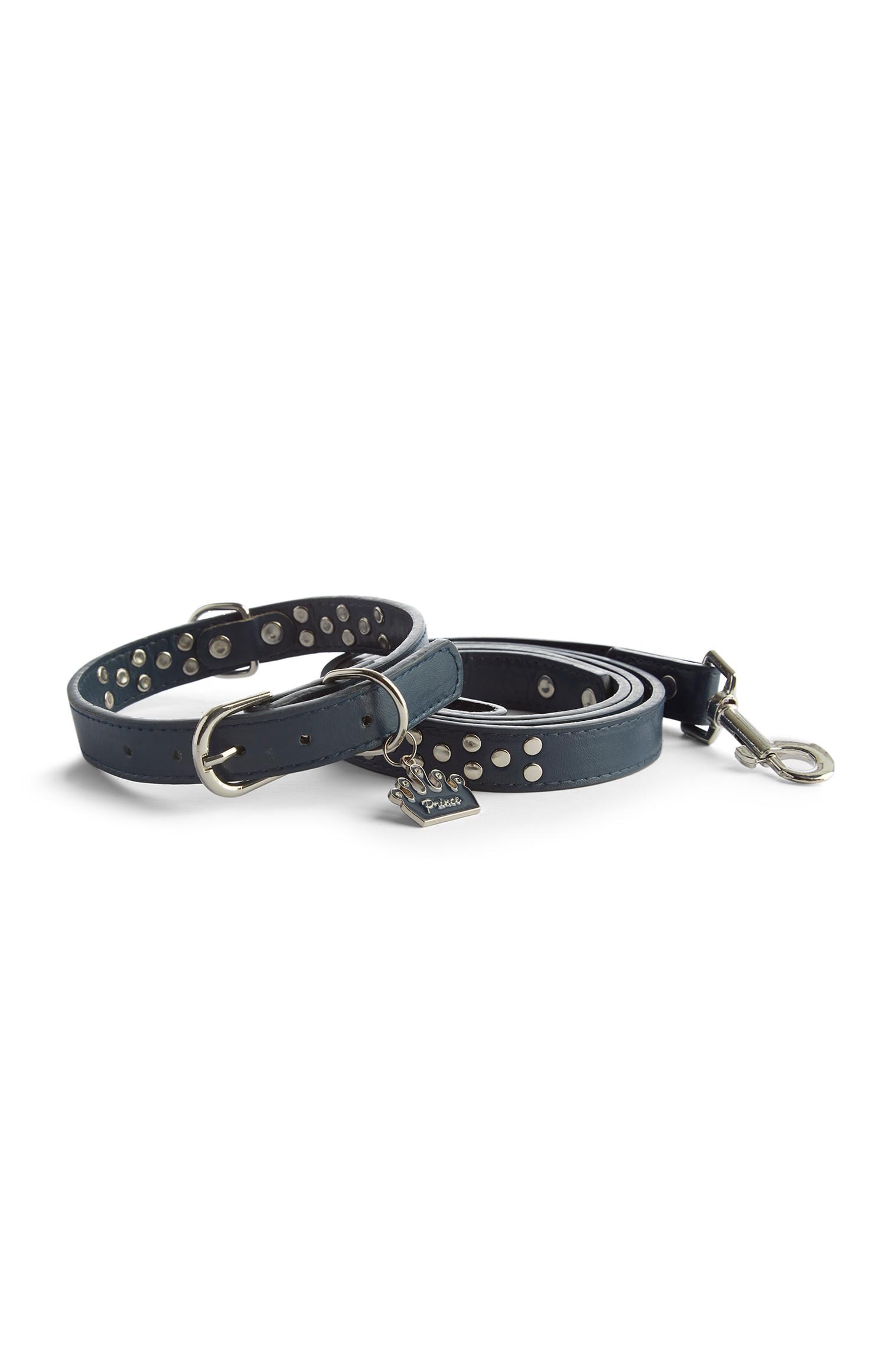 Collar y correa de príncipe para perro