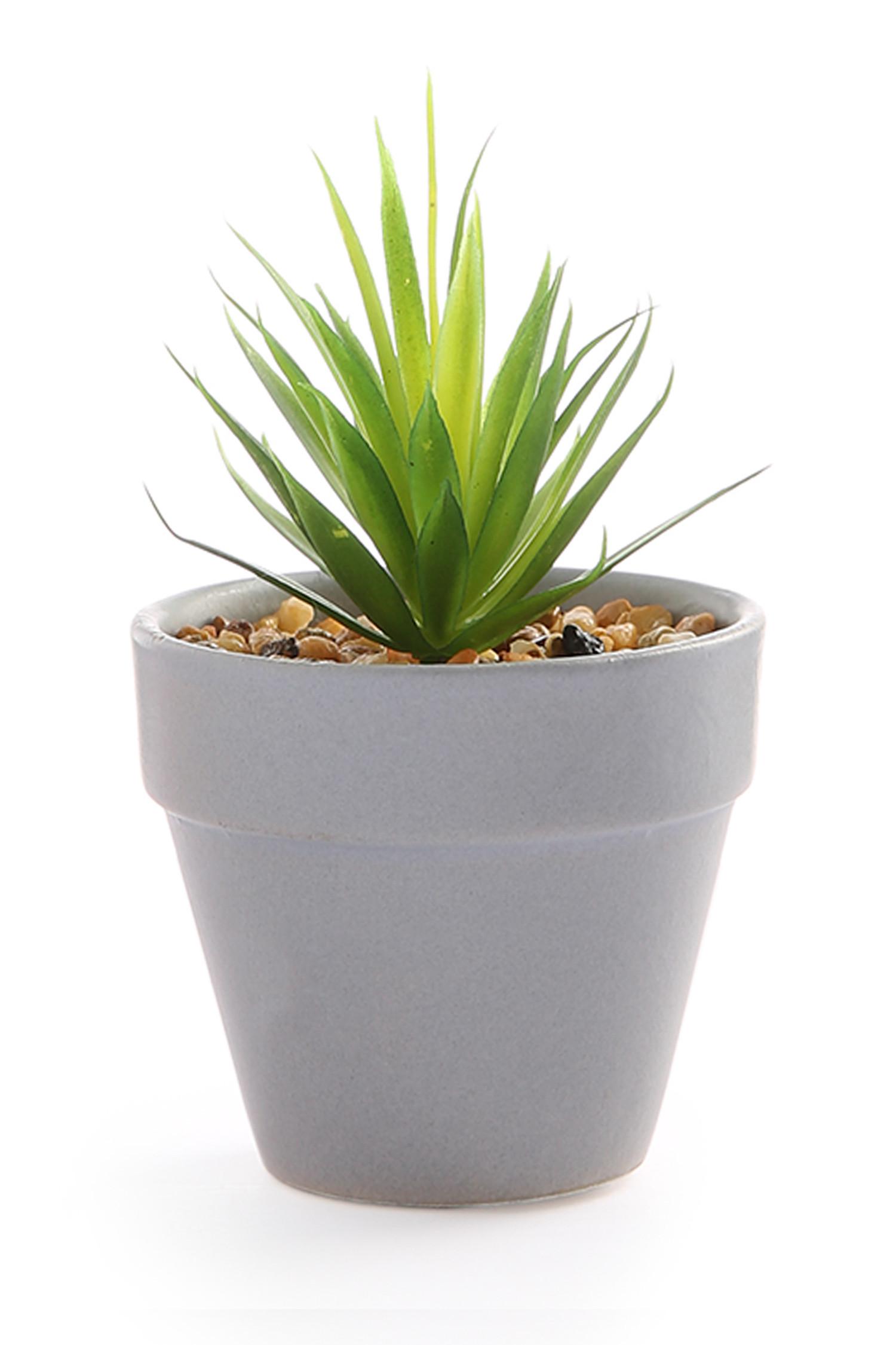 Modra mini umetna rastlina