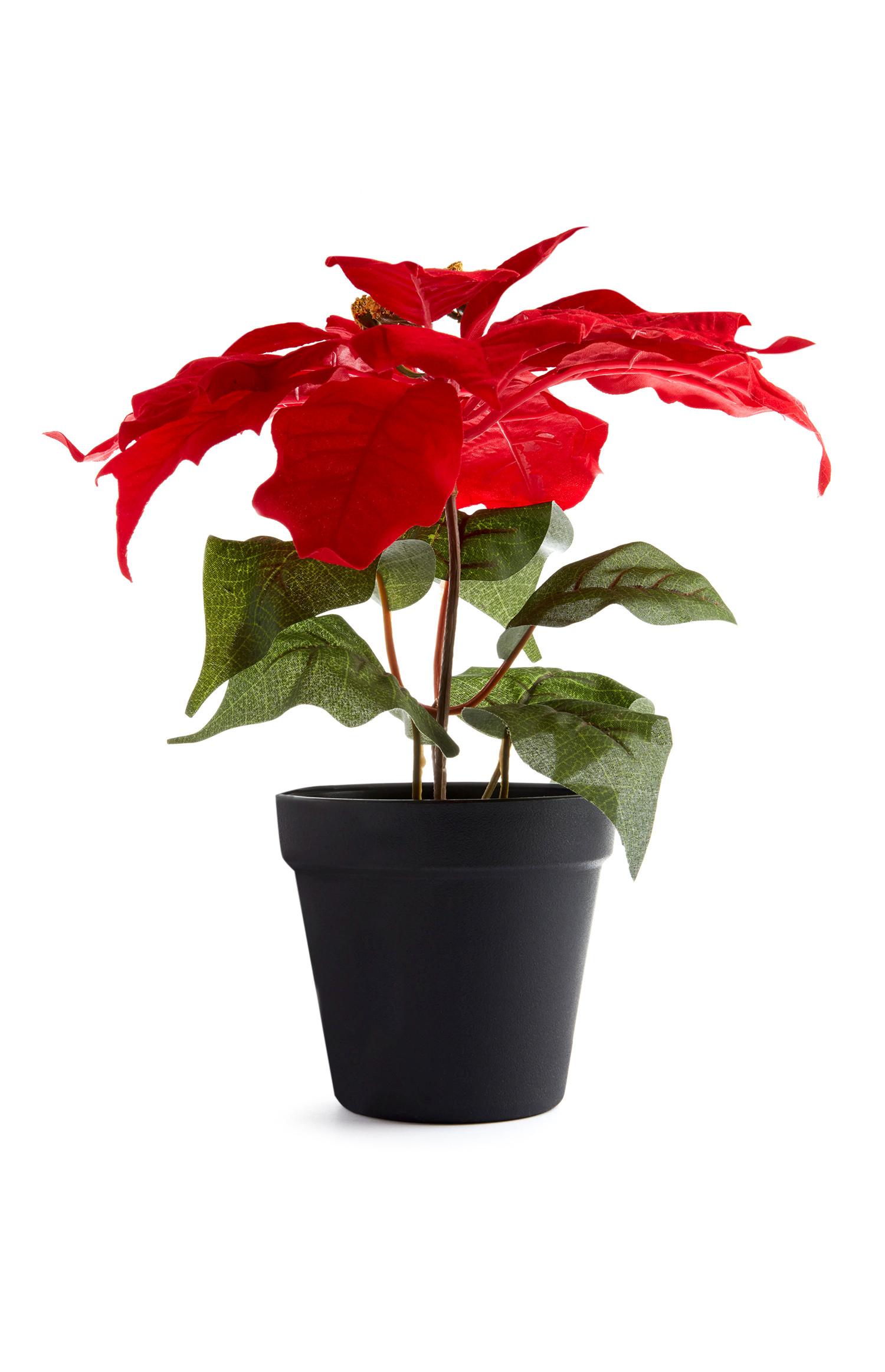 Poinsetia artificial