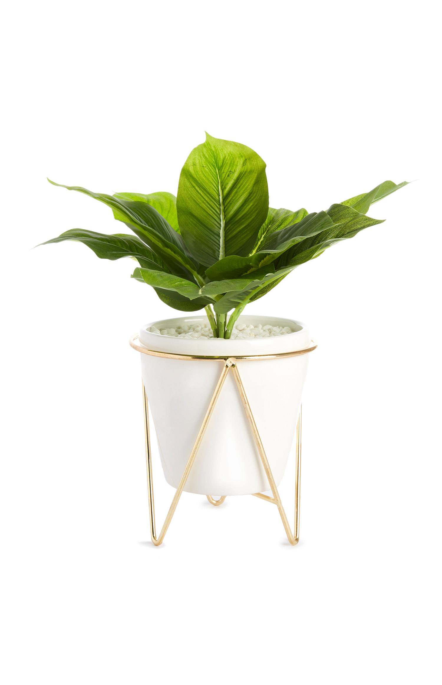 Umetno listje v belem lončku za rože