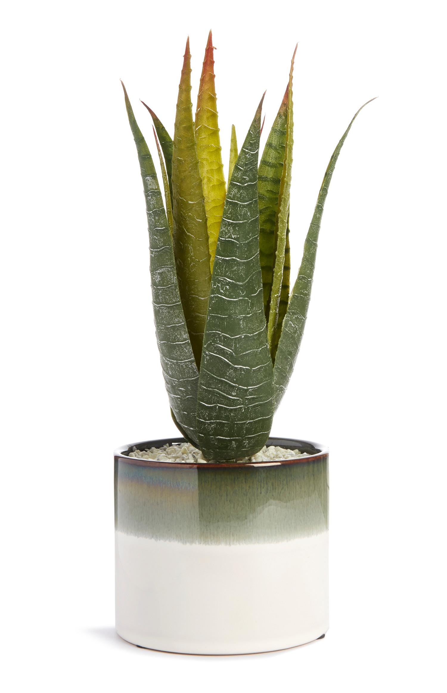 Umetna rastlina v dvobarvnem lončku