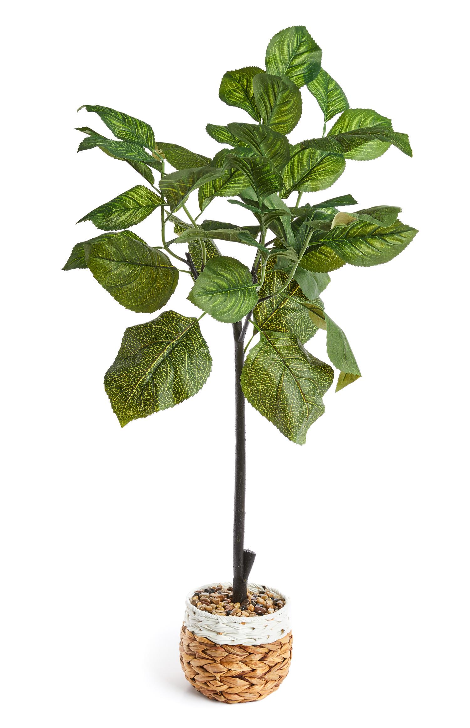 Zelo veliko umetno figovo drevo v lončku