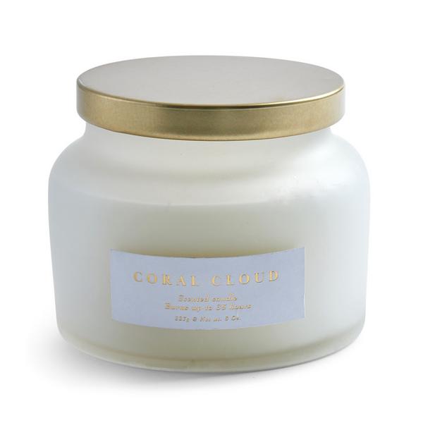 Coral Cloud Scented Tub Candle