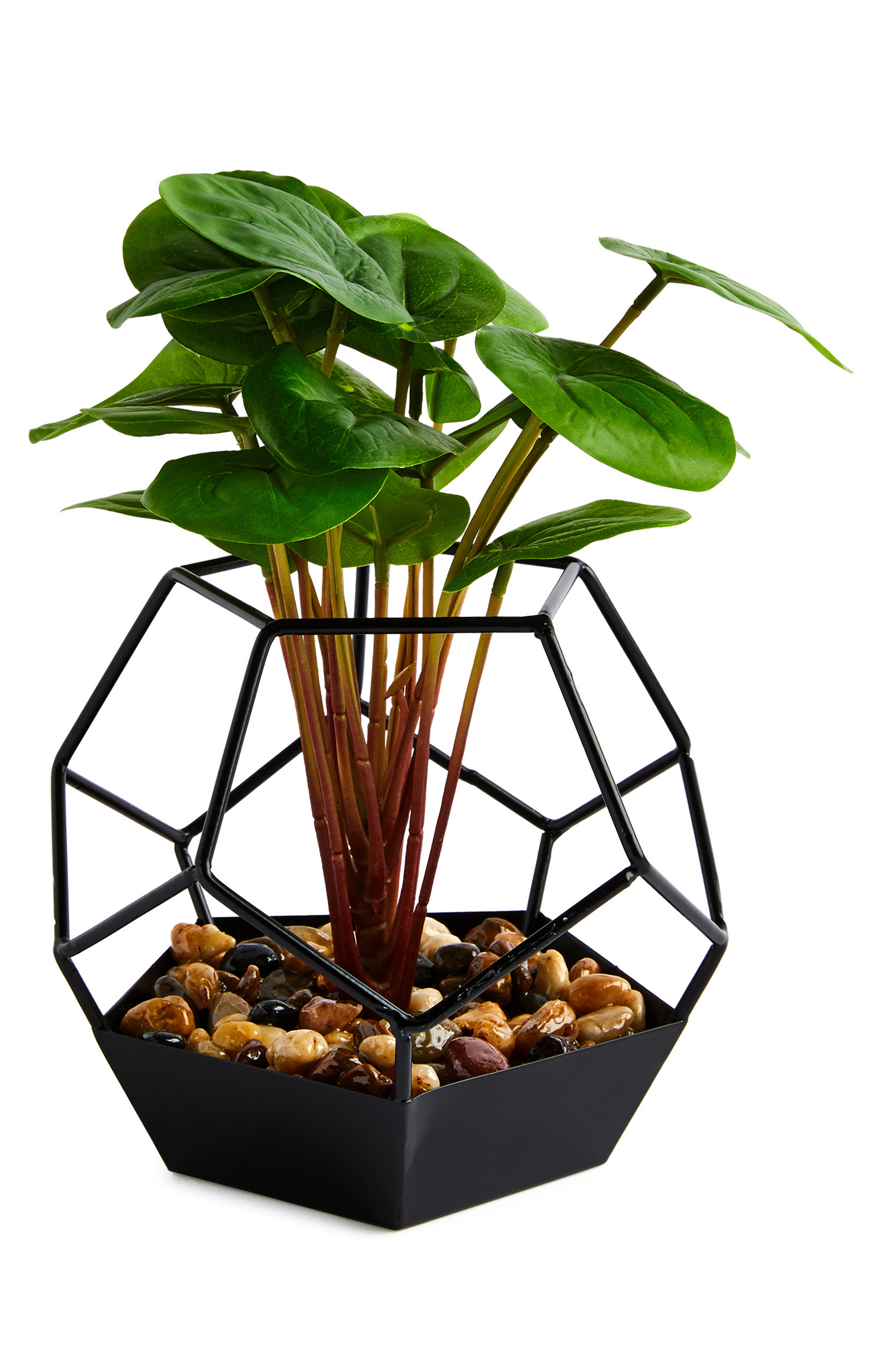 Planta artificial vaso vidro hexagonal preto