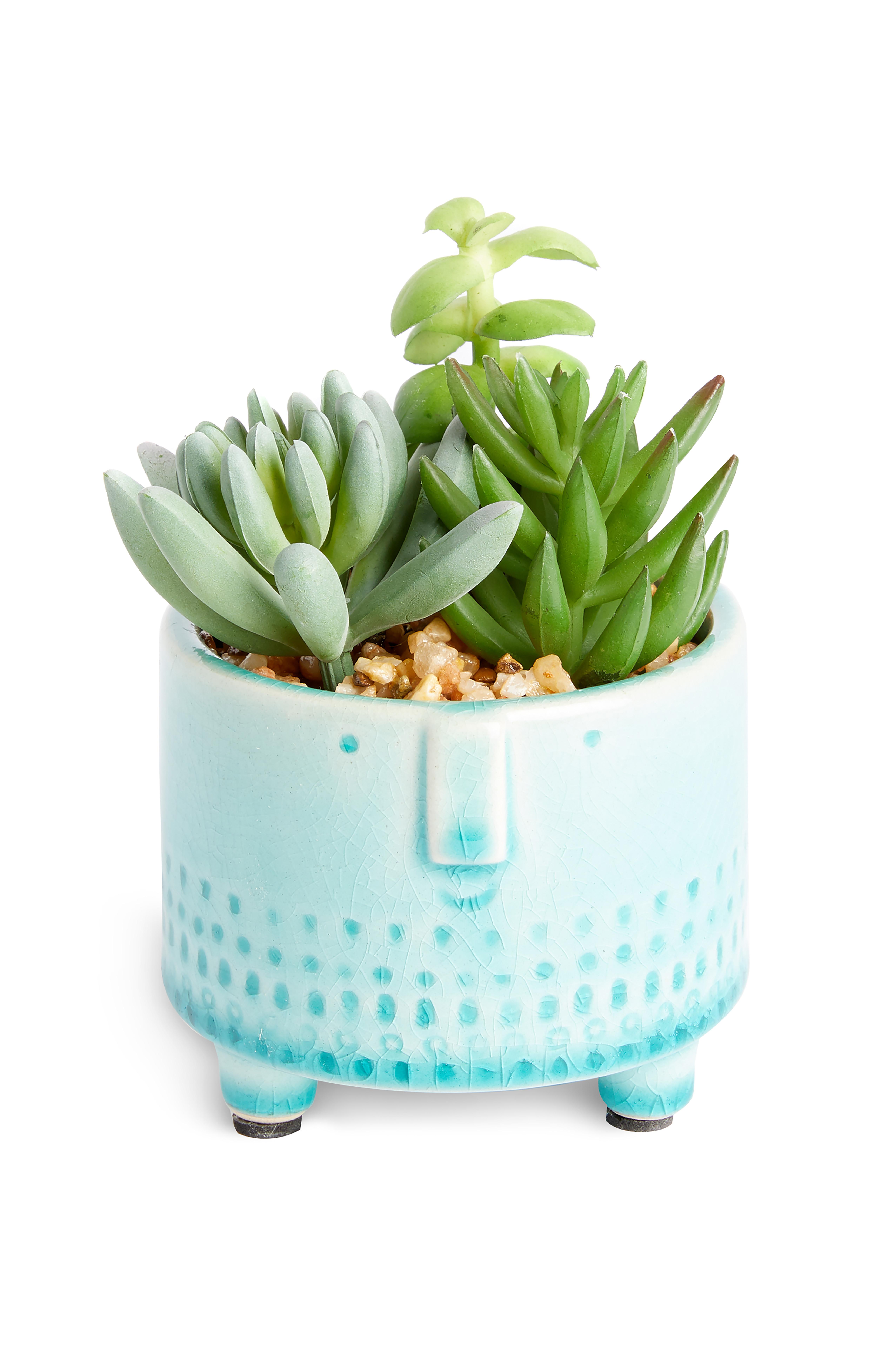 Blue Small Face Mixed Mini Plant Pots Home Décor Accessories Home
