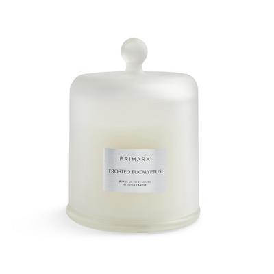Ivory Frosted Eucalyptus Scented Bell Jar Candle