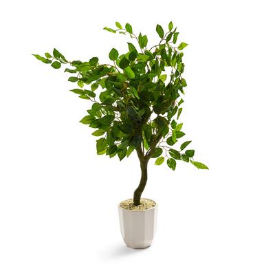 Ficus artificiale in vaso di ceramica