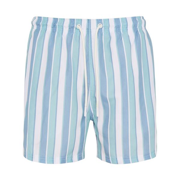 Blue Striped Swim Shorts