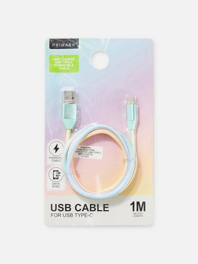 Câble USB Type-C effet dégradé 1 m