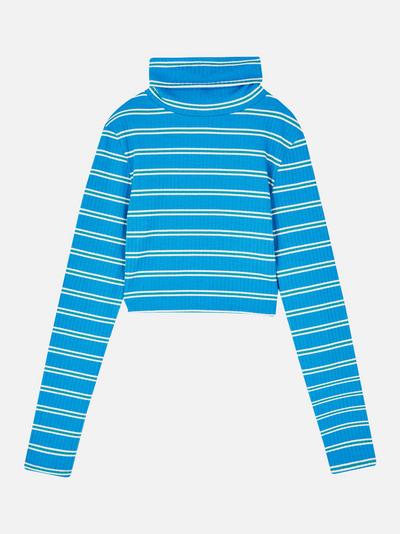 Striped Cropped Roll Neck Top